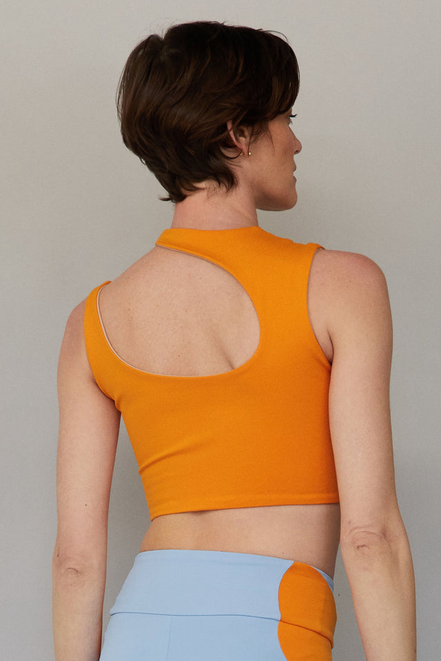 Asymmetric Reversible Crop